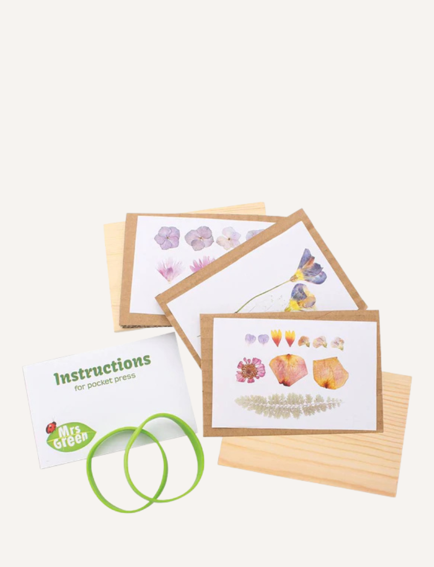 Contents of Mrs Green Pocket Press: pressed flowers, wooden boards, and instructions for crafting.
