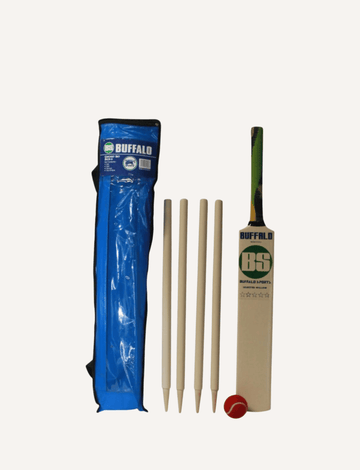 Complete junior wooden cricket set with bat, stumps, ball, and carry bag.