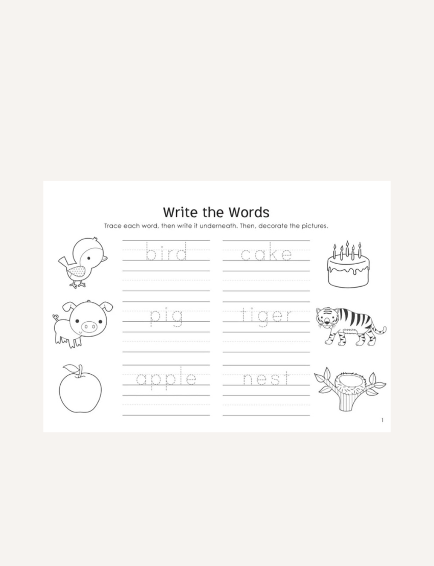 Cover of the Little Genius 'Learn to Write' Fun Educational Activity Book.
