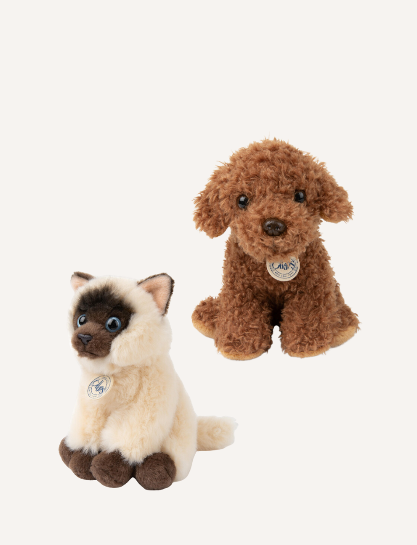 Plush Siamese cat and a brown poodle sitting side by side on a white background.