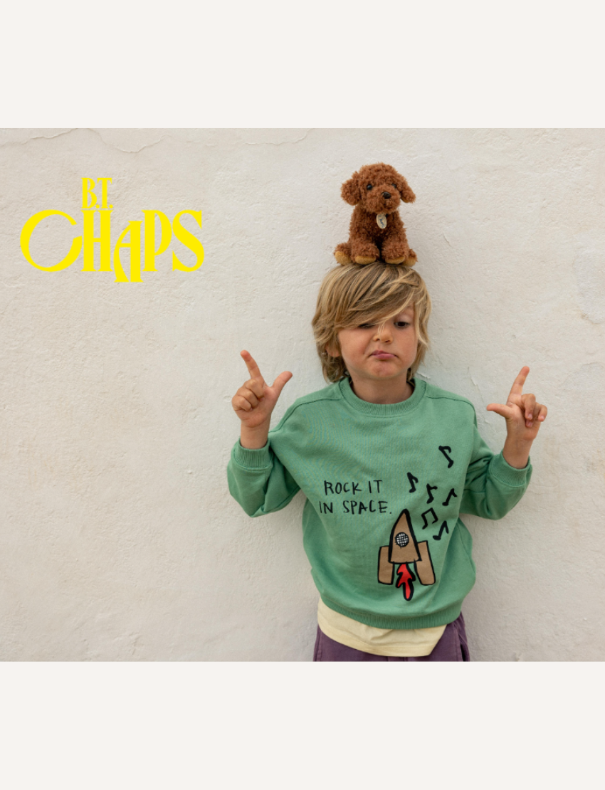 Boy wearing a green sweatshirt with a rocket ship design has a plush brown poodle on his head.