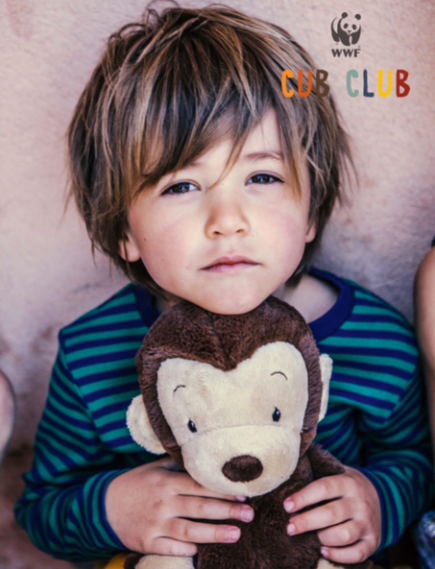 Young boy with blond hair wearing a striped shirt holds a plush brown monkey.
