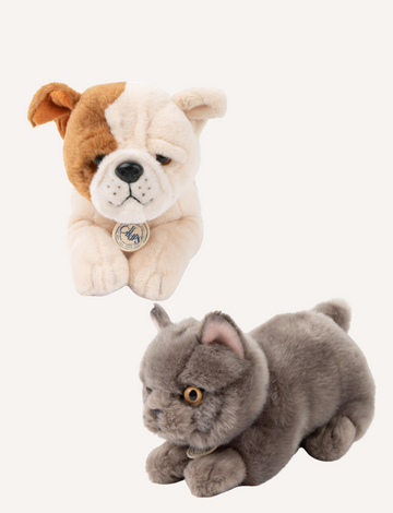 Plush bulldog and a grey plush cat sitting on a white background.