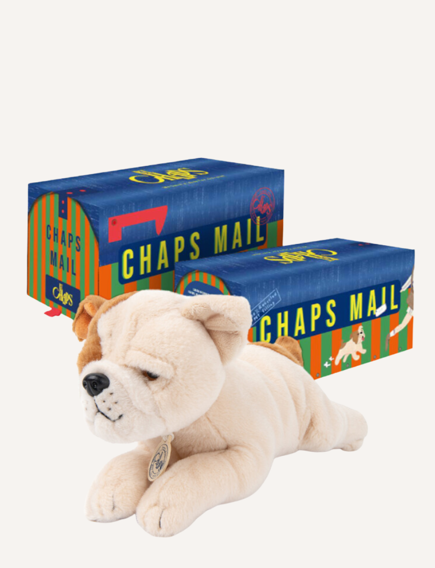 Chaps Mail plush bulldog and box with dog illustrations, perfect for gifting and dog lovers.