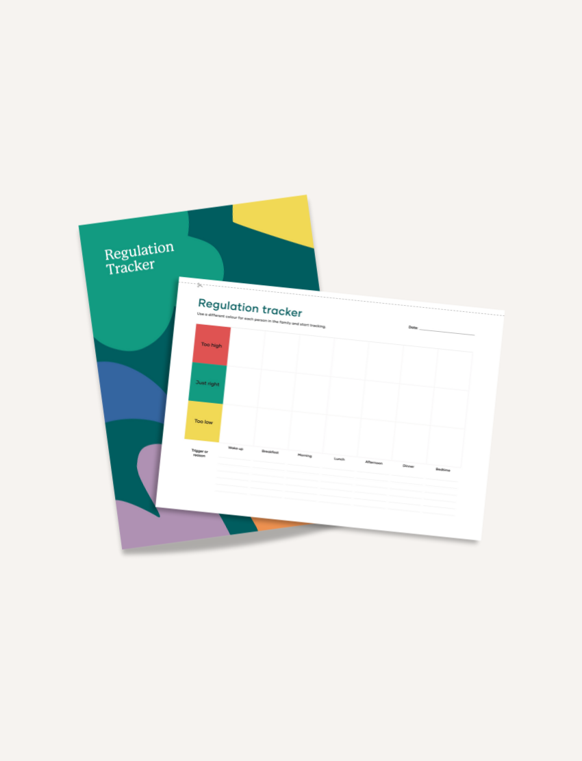 The Play Way's Regulation Tracker Booklet, a therapist-designed tool for tracking emotions and sensory needs in the kit.