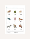 Multisyllabic Word Picture Cards: Animals for kids. Includes sheep, frog, mouse, shark, pig, tiger, zebra, cheetah, giraffe.