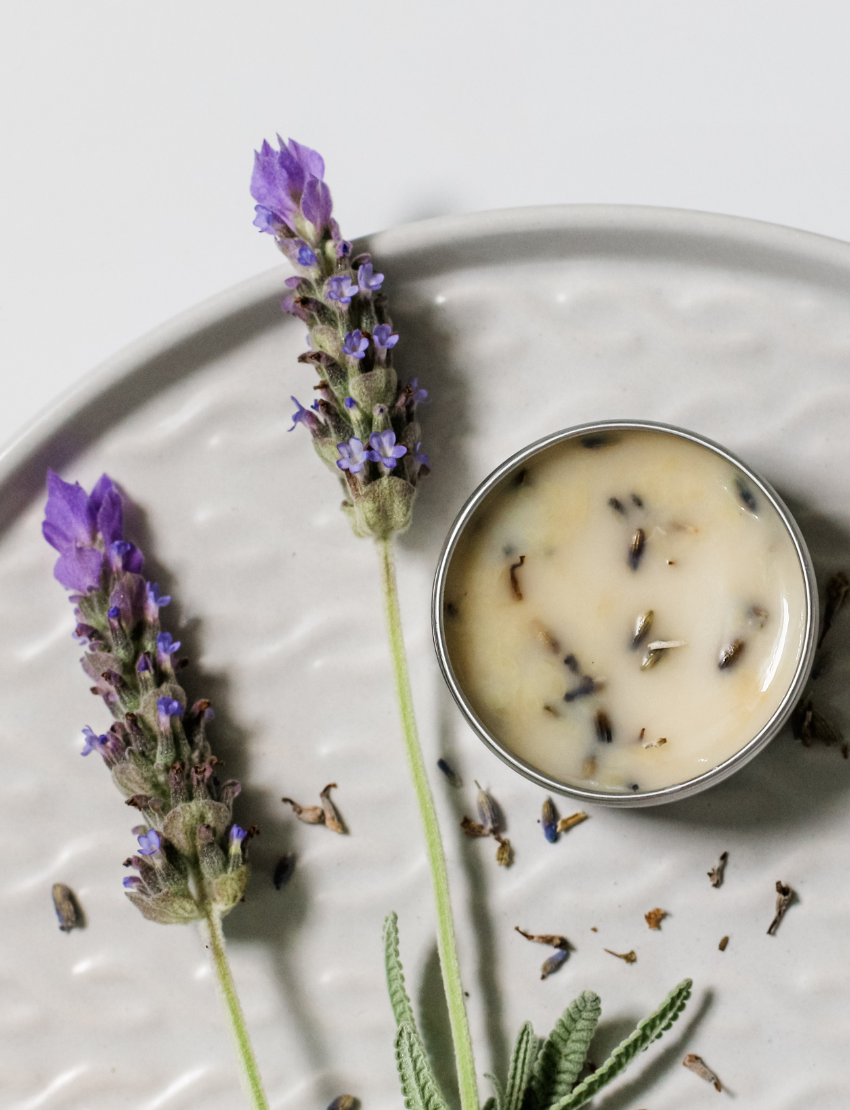 Finished Poppy & Daisy Lavender Lip Balm in a tin next to fresh lavender sprigs on a textured grey plate.