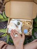 Hands holding a seashell over the Poppy & Daisy 'Fun Fossils' kit contents.