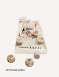 Poppy & Daisy Christmas Story Cubes with wooden cubes featuring holiday icons.
