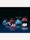 The Crystal Growing Kit (Large) by 4M Toys features an array of crystal clusters in shades of blue, red, white, purple, and pink. These vibrant crystals are beautifully presented in transparent display cases and are set against a dark surface with a matching background.