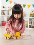 The Play Pull Along Duck & Egg by Ever Earth consists of two interlocking semi-circular pieces. One piece has a yellow disc partially concealed within a slot, while the other piece features a corresponding cut-out to accommodate the disc when assembled. The background is plain white.