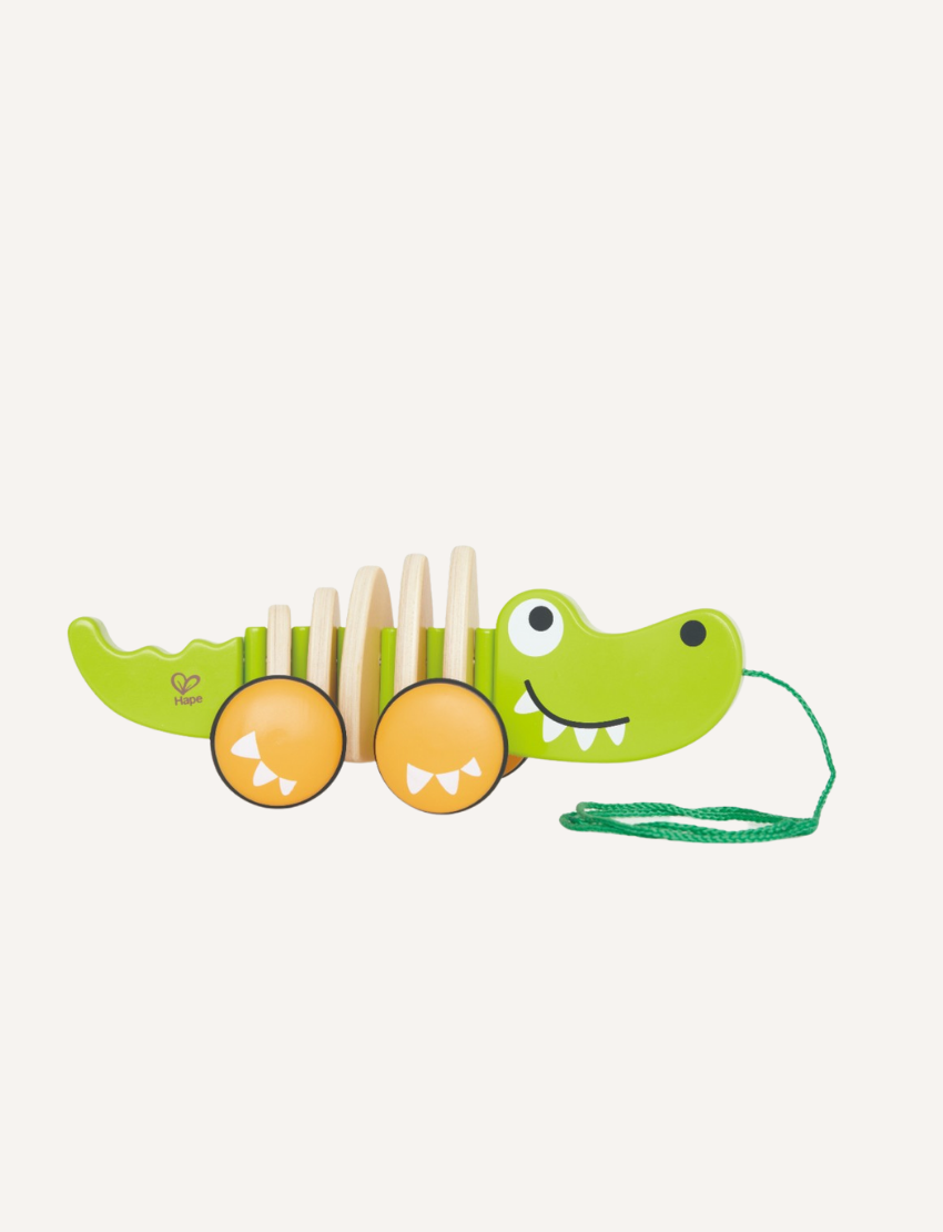 A toddler, dressed in a pink outfit and sporting curly hair, plays with the Hape Walk-A-Long Crocodile. The green pull-along toy, shaped like a smiling crocodile, features orange wheels and has a red string attached to its mouth. The toddler is holding the string while gazing at the toy.