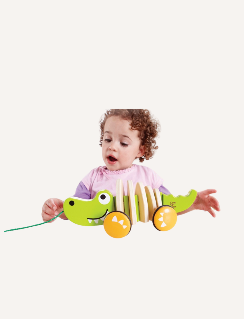 A toddler, dressed in a pink outfit and sporting curly hair, plays with the Hape Walk-A-Long Crocodile. The green pull-along toy, shaped like a smiling crocodile, features orange wheels and has a red string attached to its mouth. The toddler is holding the string while gazing at the toy.