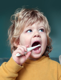 A Jack N' Jill Biodegradable Toothbrush, designed for children with a koala theme, and a tube of Jack N' Jill natural banana-flavored toothpaste adorned with cartoon animals on the label, are laid out on a gray surface.