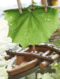 The HABA Cork Boat Kit includes a small model raft constructed from unsinkable cork and sticks, featuring an eco-friendly green leaf sail fastened with clothespins. It also comes with a piece of twine attached to the raft for easy maneuvering.