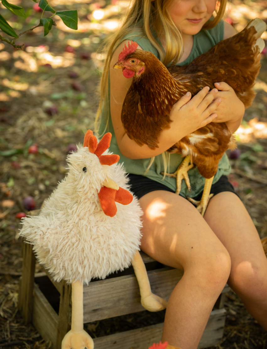 Roy the Rooster, a white and fluffy stuffed animal by Nana Hutchy, resembles a chicken with an orange comb, wattle, and beak. It has beige legs and feet and is sitting upright against a plain background.