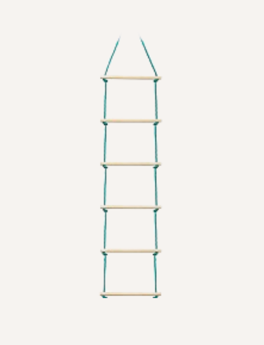 Box of a Slackers Ninja Rope Ladder 8', showcasing a child climbing in a park setting. The packaging emphasizes its secure wooden rungs and 96-inch vertical climbing design. Recommended for ages 5 and up.