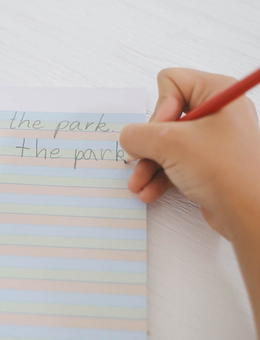 The Therapy At Home Handwriting in Practice Program includes a green and blue box with notebooks, pens, sticky notes, stickers, a pencil sharpener, planner sheets, a black carrying case, and a handwriting workbook for effective practice.