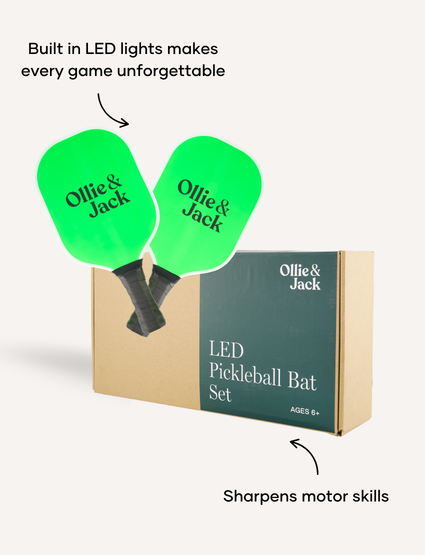 LED Pickleball Net Set