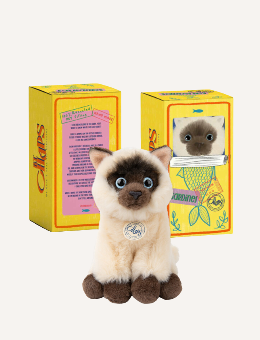 The BT Chaps Pets in Giftbox features a light-colored plush cat resembling a Siamese with dark ears and paws, and a brown fluffy dog. Ideal for doodling inspiration, both have decorative chest tags and are shown against a plain background. Size: 17cm.