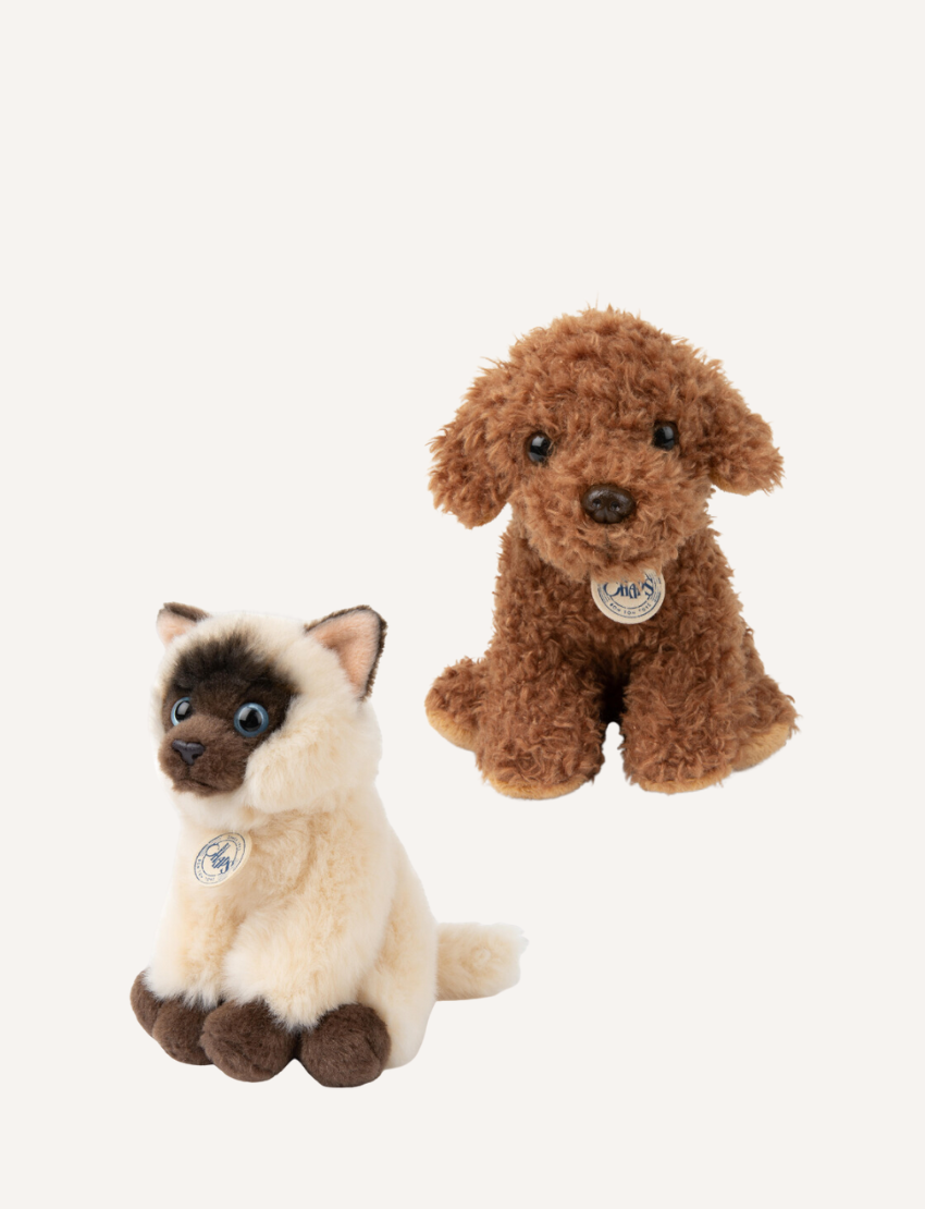 The BT Chaps Pets in Giftbox features a light-colored plush cat resembling a Siamese with dark ears and paws, and a brown fluffy dog. Ideal for doodling inspiration, both have decorative chest tags and are shown against a plain background. Size: 17cm.