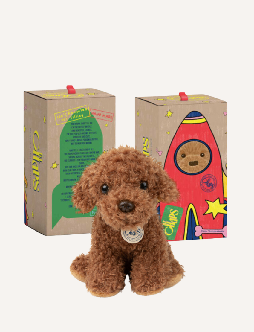 The BT Chaps Pets in Giftbox features a light-colored plush cat resembling a Siamese with dark ears and paws, and a brown fluffy dog. Ideal for doodling inspiration, both have decorative chest tags and are shown against a plain background. Size: 17cm.