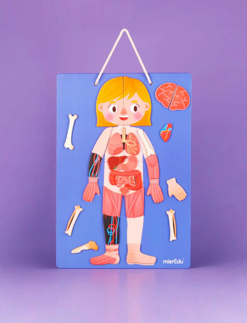 The educational board game box, "All About My Body + Emotion" by mierEdu, comes in a purple and orange design. It features illustrations of human anatomy and emotions, includes over 120 pieces, and is designed to teach children aged 4 and up about the human body and emotions.