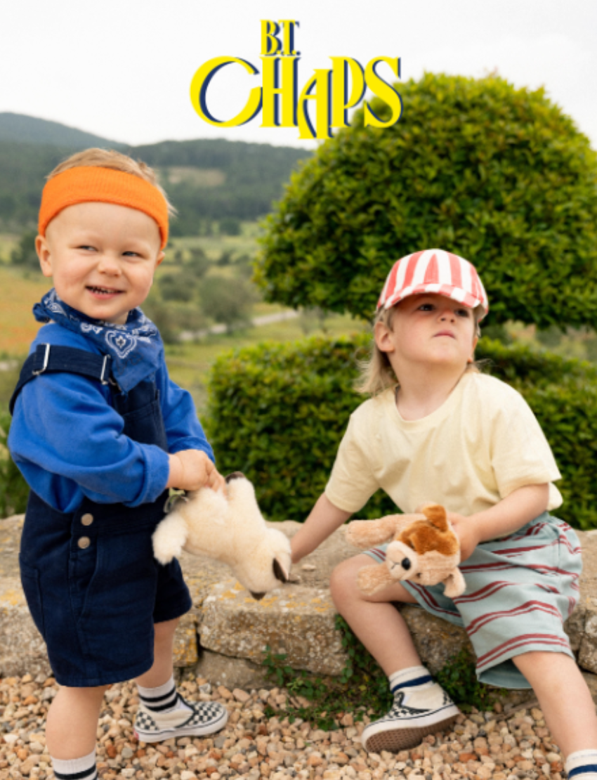 Two plush toys, part of the BT Chaps "Pets in Giftbox 15cm" collection, are set against a plain backdrop: an American Bulldog with floppy ears and a tag above a gray British Shorthair cat with a curled tail, yellow eyes, and its own tag.