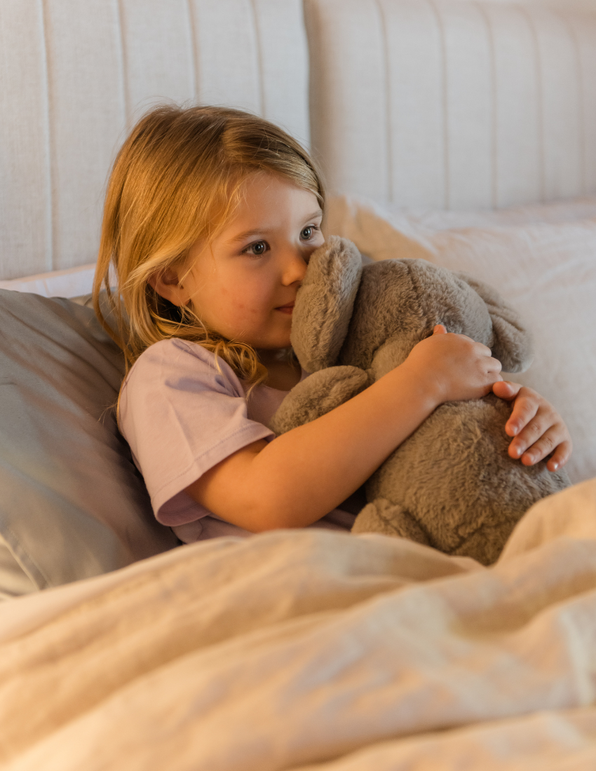 The Weighted Koala with Heart Beat from Sensory Play Australia is a plush toy featuring grey fur and large floppy ears. Designed to offer emotional comfort, this adorable koala has a white belly and inner ears, complemented by a black nose and black eyes. The koala is depicted sitting upright against a plain white background, making it perfect for sensory regulation needs.