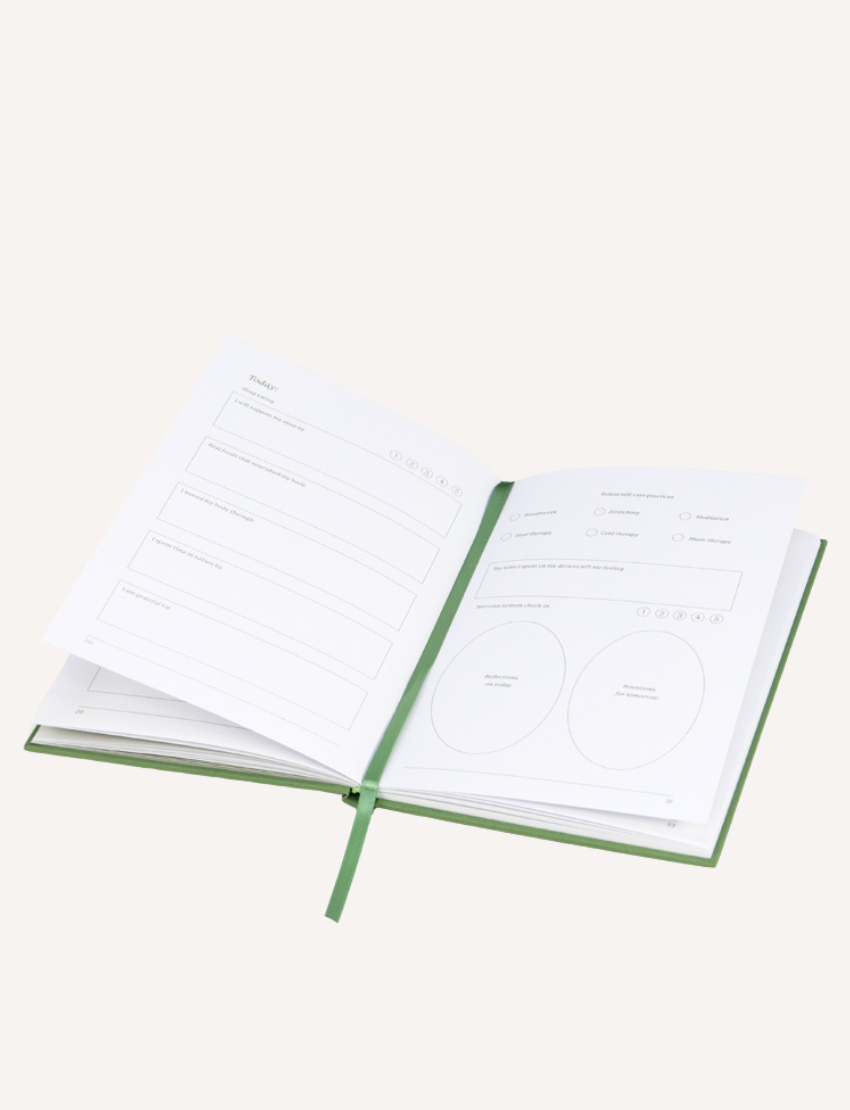 The Creating Balance Journal by Belucci is open on a white surface, displaying pages with printed forms and diagrams. Circular diagrams and bullet points appear on the right page, while a green ribbon bookmark marks the center.