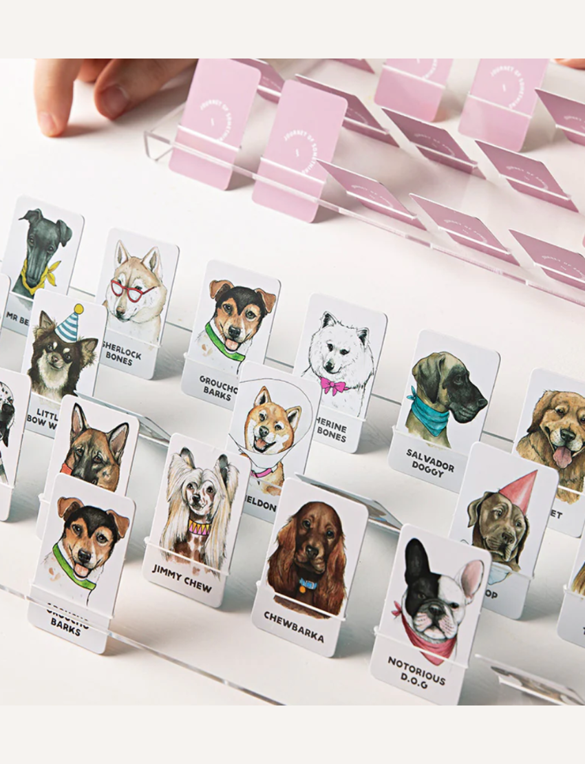 Journey of Something introduces "Guess Who Games," a board game featuring character cards, score cards, and a main board adorned with charming dog illustrations. Keep an eye out for a sneaky kitty to spice up the fun!.