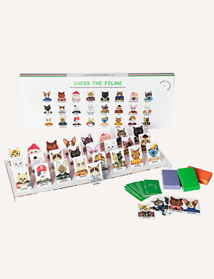 Journey of Something introduces "Guess Who Games," a board game featuring character cards, score cards, and a main board adorned with charming dog illustrations. Keep an eye out for a sneaky kitty to spice up the fun!.