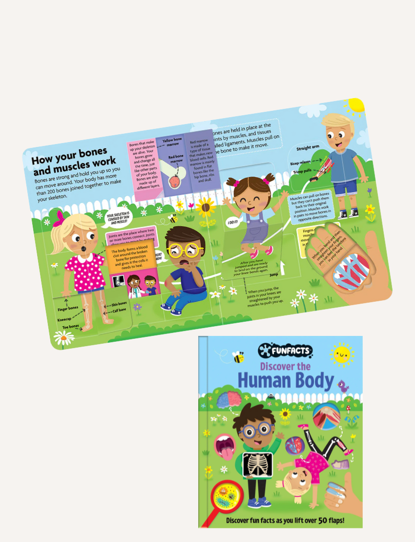 Introducing Lake Press's "FunFacts - Lift the Flap Book - The Human Body," a delightful children's book with a vibrant cover. It showcases cartoon illustrations, including a boy examining an X-ray and a girl doing a cartwheel, along with playful elements like a magnifying glass integrated into the design.