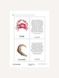 A flyer for The Play Way’s Animal Walks Cards Digital Resource shows a person holding cards with animal images and names. It describes therapeutic uses for gross motor skills and includes contact info, set on colorful abstract shapes.