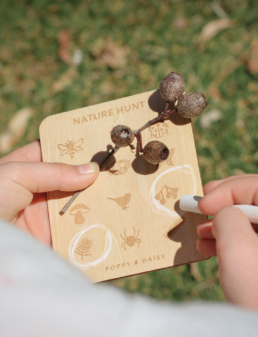 A person is holding a collection of nature-themed cards from Poppy & Daisy's "Nature Hunt" set, which includes sketches of insects and plants. Accompanying the cards are two pieces of white chalk and a fabric pouch, all set against a grassy background.