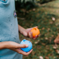 A person in a light blue shirt holds a blue ball in their left hand and an orange ball in their right. The scene, featuring green grass and fallen leaves, embodies the essence of The Play Way's Summer Holidays Program.