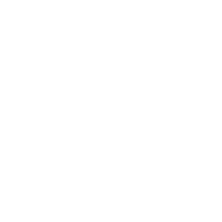 Heart Icon