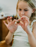 The Regulation: Attention and Learning Program by Therapy At Home is an open teal box packed with sensory and educational tools, including 